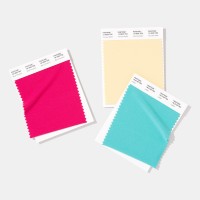 その他 PANTONE for fashion and  COLOR CARD pantone-polyester-swatch-card-